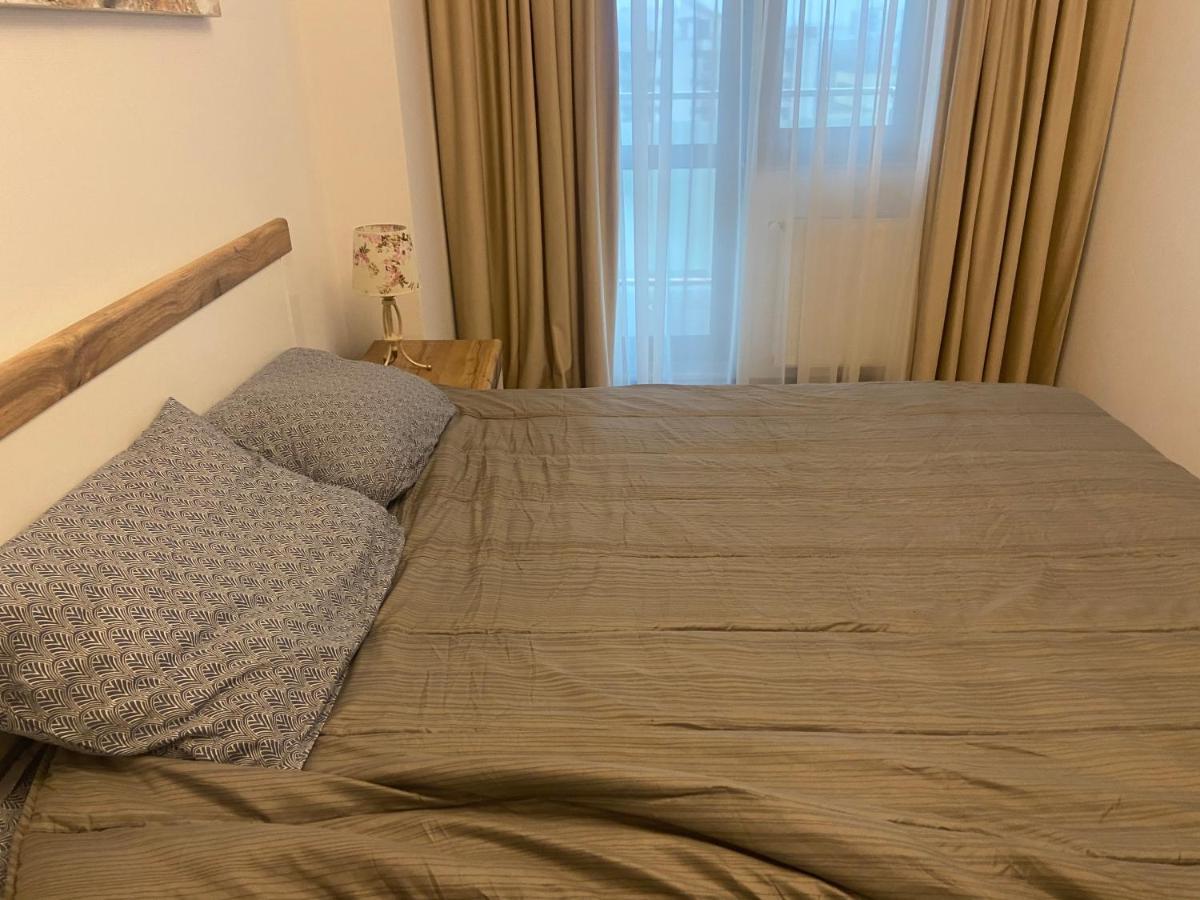 Appartement Lazar Loft à Iasi Extérieur photo
